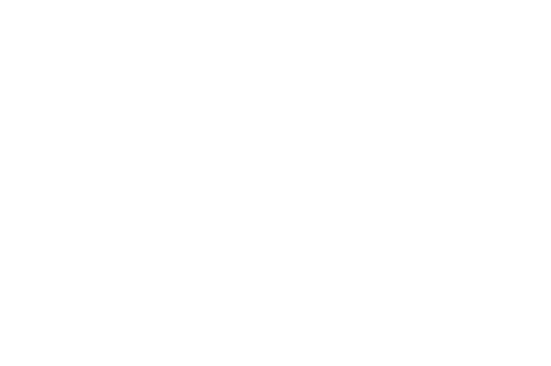 TEAM FOG